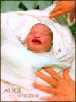 Alice was born Alice was born