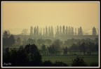 La nebbia agli irti colli La nebbia agli irti colli