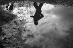 Riflessi Riflessi