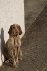 Lola...in posa! Lola...in posa!