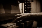 The hand of the organ The hand of the organ