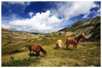 Questo scatto  stata la ciliegina sulla torta di una giornata magnifica passata a scattare immagini e camminare in Val Grande. Paesaggi di un ampiezza e bellezza da togliere il respiro, il che cielo donava ulteriore profondit al tutto, camminare in paradiso e scattare foto, che giornata indimenticabile, roby2 mi ci riporter quest'estate vero???

Che ne pensate dell'immagine? Gradite critiche e commenti.