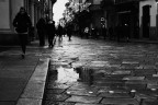 Caccia ai regali Caccia ai regali