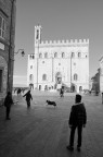 In piazza maggiore a Gubbio.
Suggerimenti e critiche sempre ben accetti!