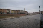 Pisa Pisa