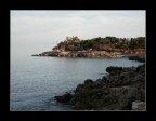 Capogallo