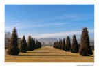 Venaria Reale Venaria Reale
