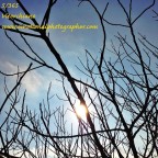 5.365 - IPHONOGRAPHY PROJECT 5.365 - IPHONOGRAPHY PROJECT