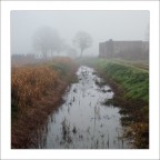 Padule#2, 2013 Padule#2, 2013