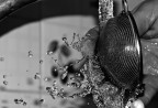 Acqua Acqua