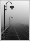 Nebbia sul ponte Nebbia sul ponte