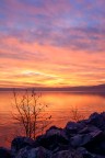 Red sunset Red sunset