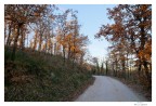 Autunno