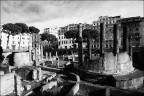 Chiss quante vite abbiamo gi vissuto.
Roma, largo Argentina.
Accetto e uspico commenti.