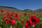 Castelluccio 4 Castelluccio 4