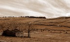 campagna...