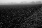 fog fog