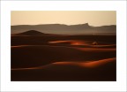 il silenzio del deserto il silenzio del deserto