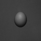 egg egg
