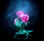 Light and smoke Light and smoke