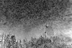 Io e la nebbia  2013