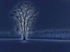 Anche gli alberi hanno un'anima