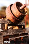 Legno e ruggine Legno e ruggine