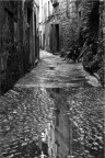 Viterbo Viterbo