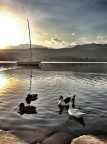 Lago di Avigliana Lago di Avigliana