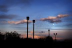 Nuvole di storni e la luna. Al tramonto.