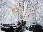 Il Signor Inverno Il Signor Inverno