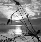 Pomeriggio Pomeriggio