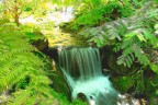 Verde Verde