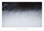 tempesta di neve