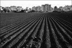 Provincia