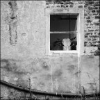 Staffarda (CN), 22-09-2012 Staffarda (CN), 22-09-2012