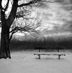 Panchina di pomeriggio con neve Panchina di pomeriggio con neve