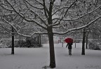 neve2 neve2
