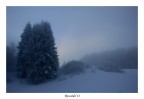 Aspettando l'aurora Aspettando l'aurora
