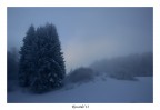 1/800sec, f 6,3, ISO 200, 18-105mm@28mm

Abbracciati... come se volessero scaldarsi e resistere assieme alle brume degli ultimi strascichi di questa gelida notte invernale...

Alla prossima!