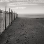 Lo Steccato. Lo Steccato.