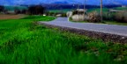 Toscana ,bordo strada.