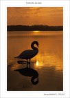 Tramonto sul lago Tramonto sul lago