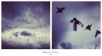 Andar via ... Andar via ...
