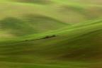 Green Green