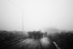 tra la nebbia tra la nebbia