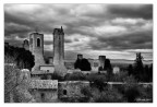 Volterra BW Volterra BW