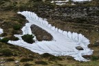Il drago di neve