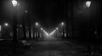 Notturno
