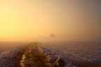 Come mia prima foto ho pensato fosse "giusto" pubblicare qualcosa che mi appartiene: questo  uno scatto di Campiano, il paesino vicino a Ravenna nel quale abito e a cui sono molto legato.
Domenica mattina, dopo aver visto in diretta le prime due gare del mondiale Superbike in Australia (e quindi a orari da sonnambulo), invece di andare a dormire come qualsiasi persona saggia avrebbe fatto sono uscito per godermi il sole albeggiare sulla neve.
Commenti e critiche graditi (mi sono iscritto apposta).